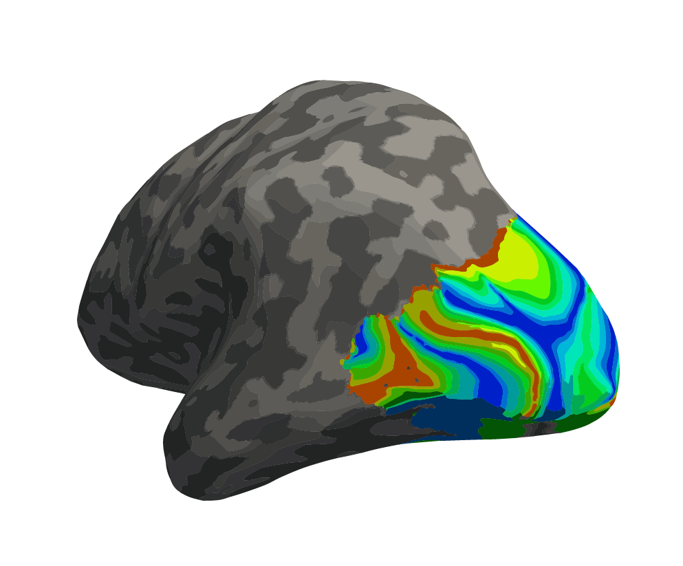 The Kupers Computational Neuroscience & Visual Perception Lab at York University